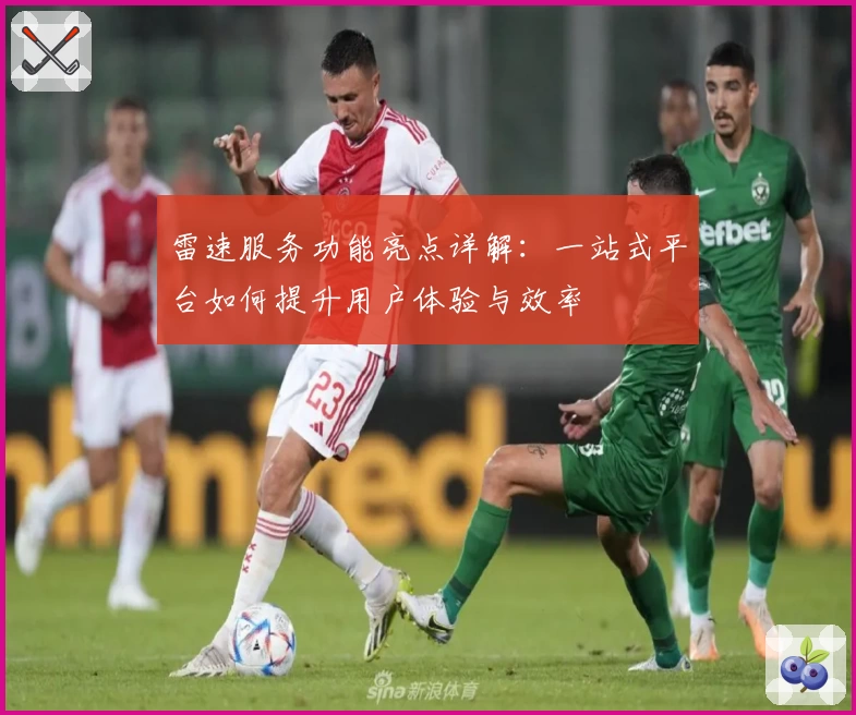 雷速服务功能亮点详解：一站式平台如何提升用户体验与效率